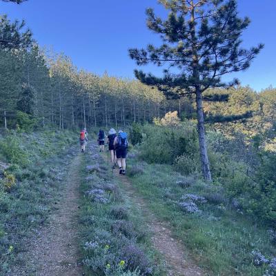 Occitanie Rando Herault Haut Languedoc Grp Entre Deux Lacs Avene Salagou 3 Jours 273