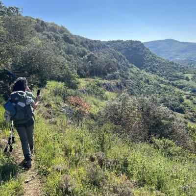 Occitanie Rando Herault Haut Languedoc Grp Entre Deux Lacs Avene Salagou 3 Jours 284