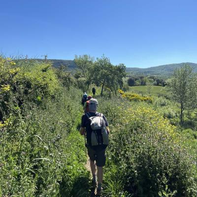 Occitanie Rando Herault Haut Languedoc Grp Entre Deux Lacs Avene Salagou 3 Jours 305