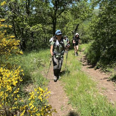 Occitanie Rando Herault Haut Languedoc Grp Entre Deux Lacs Avene Salagou 3 Jours 326