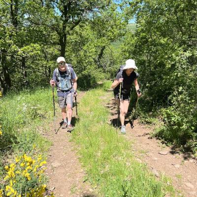 Occitanie Rando Herault Haut Languedoc Grp Entre Deux Lacs Avene Salagou 3 Jours 327