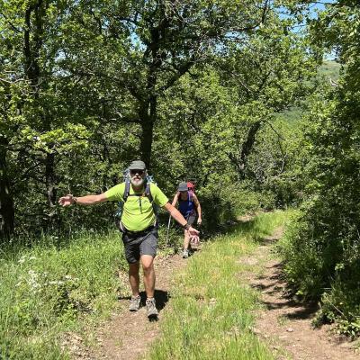 Occitanie Rando Herault Haut Languedoc Grp Entre Deux Lacs Avene Salagou 3 Jours 331