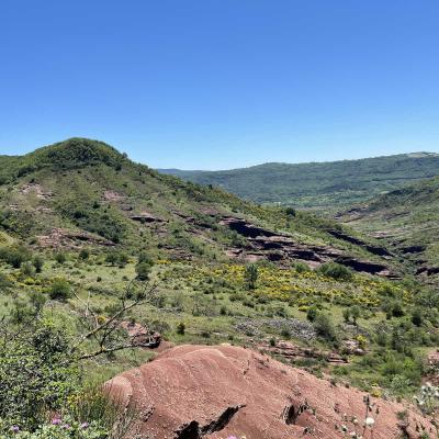 Occitanie Rando Herault Haut Languedoc Grp Entre Deux Lacs Avene Salagou 3 Jours 338