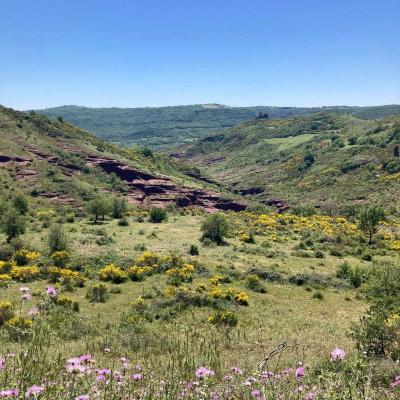 Occitanie Rando Herault Haut Languedoc Grp Entre Deux Lacs Avene Salagou 3 Jours 375
