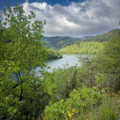 Occitanie Rando Herault Haut Languedoc Grp Entre Deux Lacs Avene Salagou 3 Jours 394