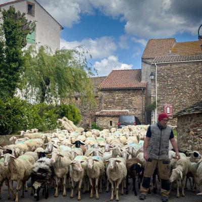 Occitanie Rando Herault Haut Languedoc Grp Entre Deux Lacs Avene Salagou 3 Jours 418