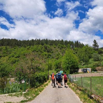 Occitanie Rando Herault Haut Languedoc Grp Entre Deux Lacs Avene Salagou 3 Jours 422