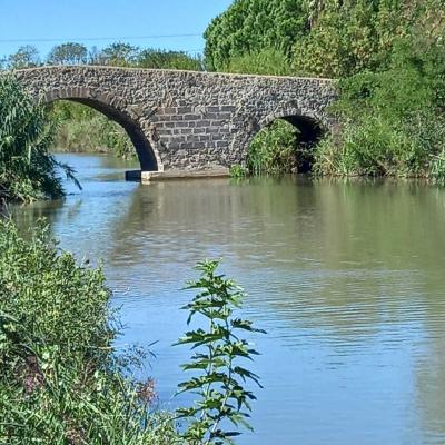 Occitanie Rando Randonnee Herault Agde Canal Midi Verdisse Fleuve Herault 30