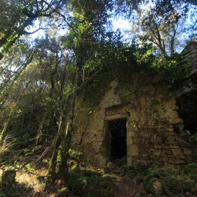 Occitanie Rando Randonnee Herault Camplong Arboretum Espaze 03