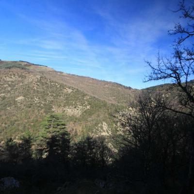 Occitanie Rando Randonnee Herault Camplong Arboretum Espaze 05