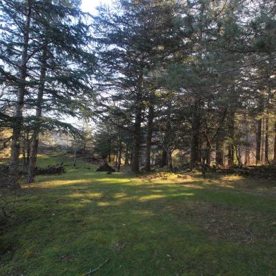 Occitanie Rando Randonnee Herault Camplong Arboretum Espaze 06