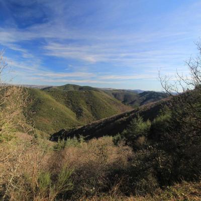 Occitanie Rando Randonnee Herault Camplong Arboretum Espaze 09