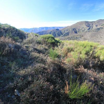 Occitanie Rando Randonnee Herault Camplong Arboretum Espaze 11