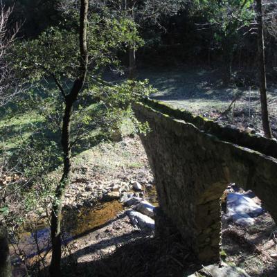 Occitanie Rando Randonnee Herault Camplong Arboretum Espaze 12