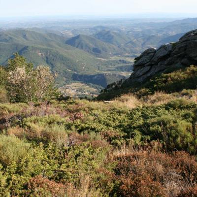 Occitanie Rando Randonnee Herault Caroux Sommet Rosis 04