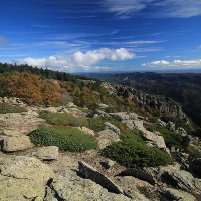 Occitanie Rando Randonnee Herault Caroux Sommet Rosis 10