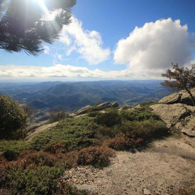 Occitanie Rando Randonnee Herault Caroux Sommet Rosis 12