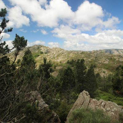 Occitanie Rando Randonnee Herault Caroux Sommet Rosis 14