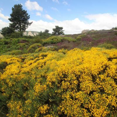 Occitanie Rando Randonnee Herault Caroux Sommet Rosis 15