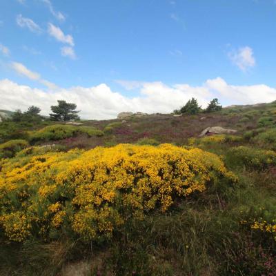 Occitanie Rando Randonnee Herault Caroux Sommet Rosis 16