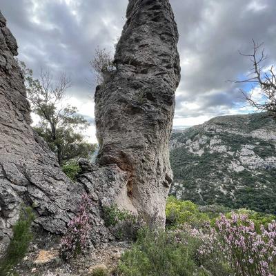 Occitanie Rando Herault Trekking Saint Guilhem Le Desert Roc Vigne 33