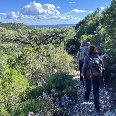 Occitanie Rando Herault Trekking Saint Guilhem Le Desert Roc Vigne 53