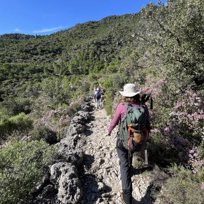 Occitanie Rando Herault Trekking Saint Guilhem Le Desert Roc Vigne 72