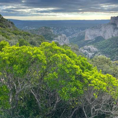 Occitanie Rando Herault Trekking Saint Guilhem Le Desert Roc Vigne 95