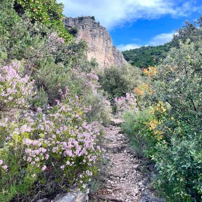 Occitanie Rando Herault Trekking Saint Guilhem Le Desert Roc Vigne 97