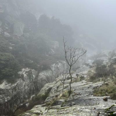 Occitanie Rando Trekking Colombieres Sur Orb Lafage Fleysses Seilhols 59