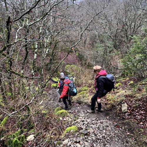 Occitanie Rando Rando Herault Heras Lergue Roqueredonde 64