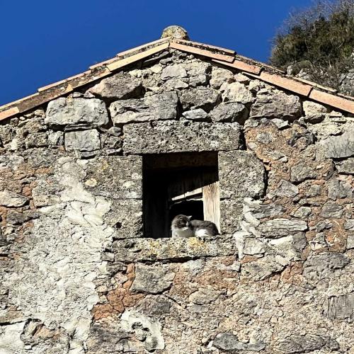 Occitanie Rando Trekking Lauroux Roqueredonde Temple Bouddhiste 26