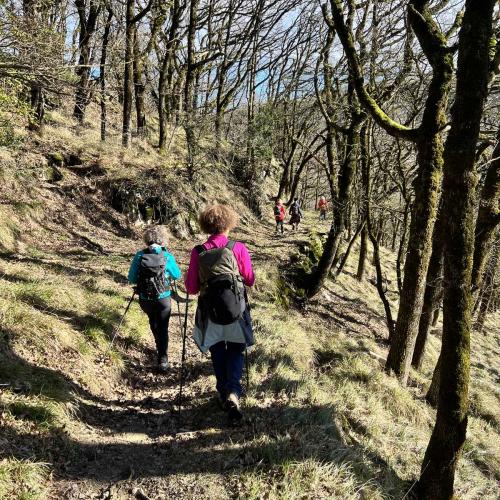 Occitanie Rando Trekking Lauroux Roqueredonde Temple Bouddhiste 49