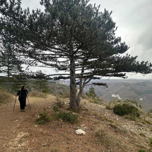 Occitanie Rando Trekking Le Monna Gorges Dourbies Millau Baume 140