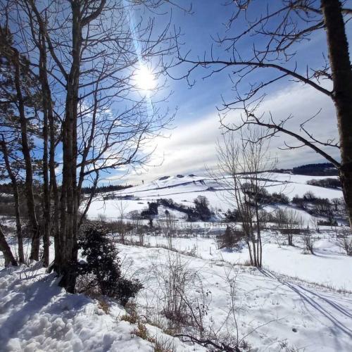 Occitanie Rando Randonnee Roqueredonde Foret Escandorgues Neige 08