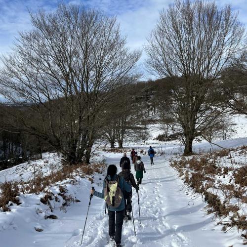 Occitanie Rando Randonnee Roqueredonde Foret Escandorgues Neige 114