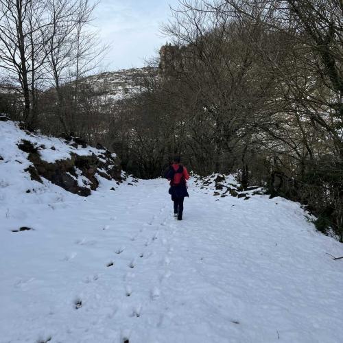 Occitanie Rando Randonnee Roqueredonde Foret Escandorgues Neige 117