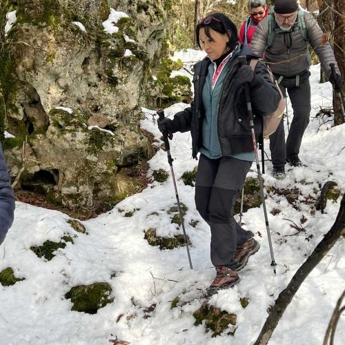 Occitanie Rando Randonnee Roqueredonde Foret Escandorgues Neige 96