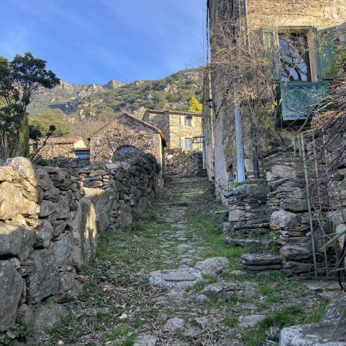 Occitanie Rando Trekkink Caroux Roc Arrete Saint Martin 04