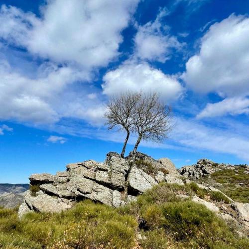 Occitanie Rando Trekkink Caroux Roc Arrete Saint Martin 62