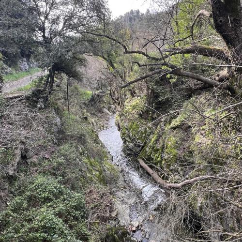Occitanie Rando Trekking Graissessac Agut Gr653 Padene Mine Simon 02