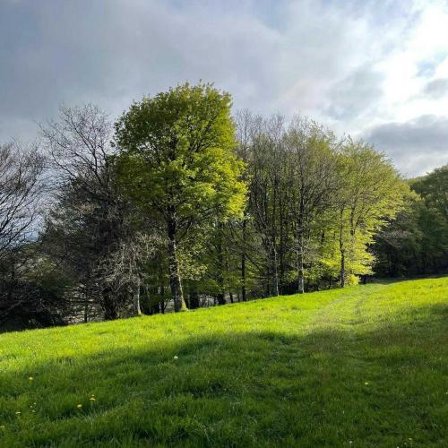 Occitanie Rando Rando Itinerante 3 Jours Lacaune La Salvetat Enfant Sauvage 02