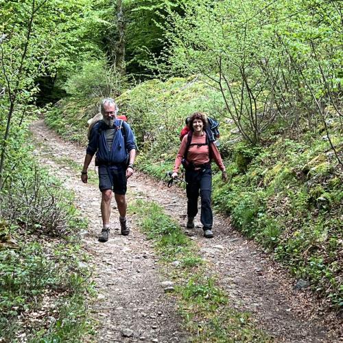 Occitanie Rando Rando Itinerante 3 Jours Lacaune La Salvetat Enfant Sauvage 111