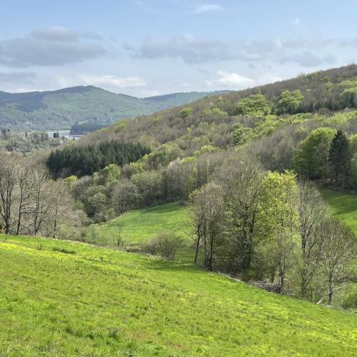 Occitanie Rando Rando Itinerante 3 Jours Lacaune La Salvetat Enfant Sauvage 96