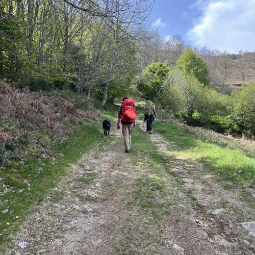 Occitanie Rando Rando Itinerante 3 Jours Lacaune La Salvetat Enfant Sauvage 97