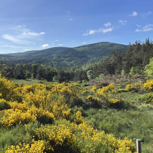 Occitanie Rando Rando Itinerante Gr70 Stevenson 5 Belle Etape 140