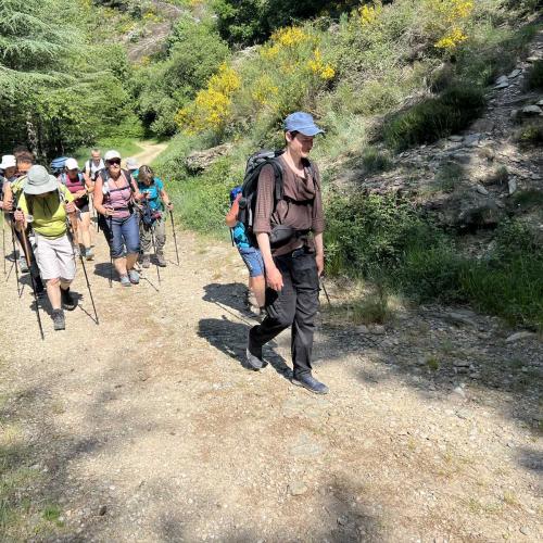 Occitanie Rando Rando Itinerante Gr70 Stevenson 5 Belle Etape 211