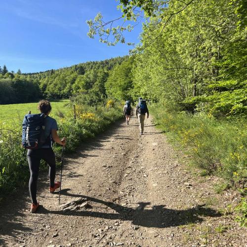 Occitanie Rando Rando Itinerante Gr70 Stevenson 5 Belle Etape 23