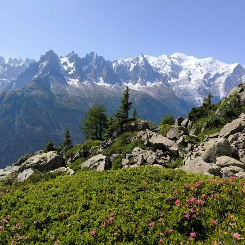 Occitanie Rando Rando Itinerante Tour Mont Blanc Integral 11jours Bivouac Trek 05