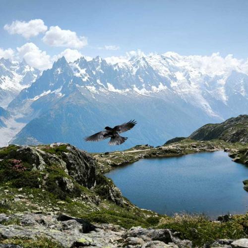 Occitanie Rando Rando Itinerante Tour Mont Blanc Integral 11jours Bivouac Trek 07